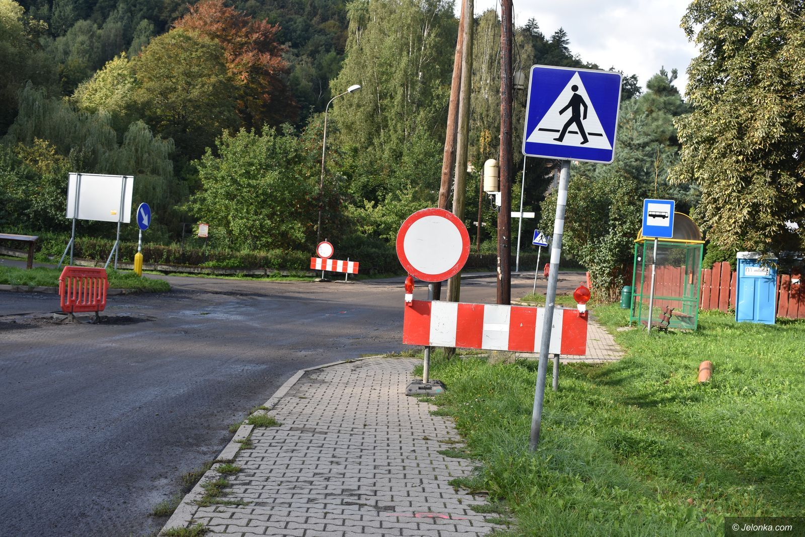 Przybywa sieci Jelonka wiadomości Piechowice