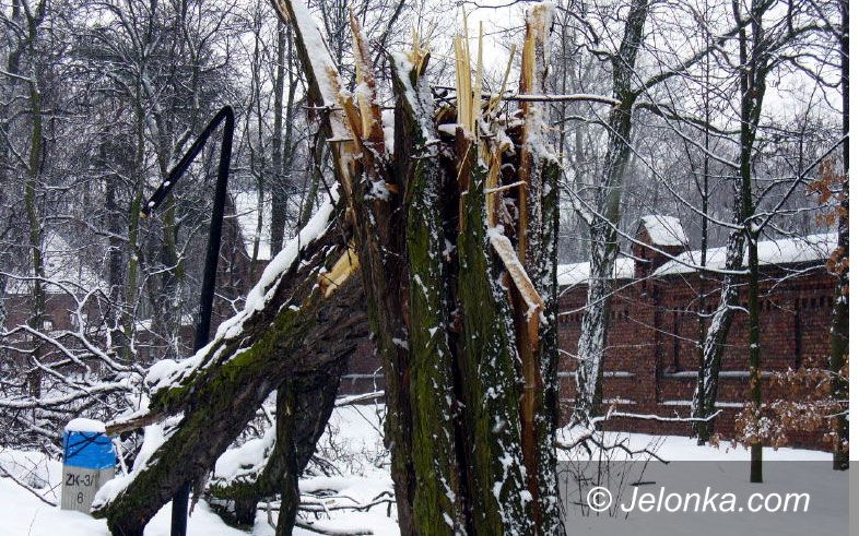 Region Jeleniogórski: Wichura zaszalała i przywiała zimę