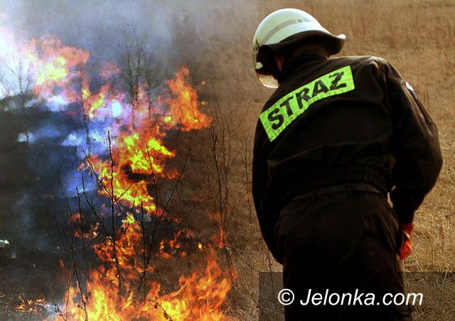 Jelenia Góra: Pożar za pożarem na nieużytkach