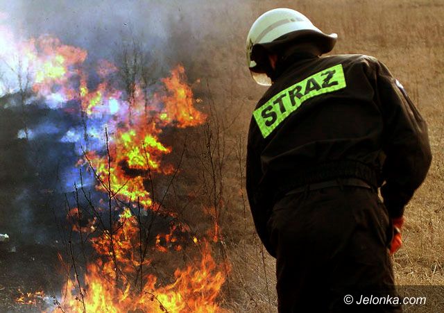 Jelenia Góra: Pożar za pożarem na nieużytkach