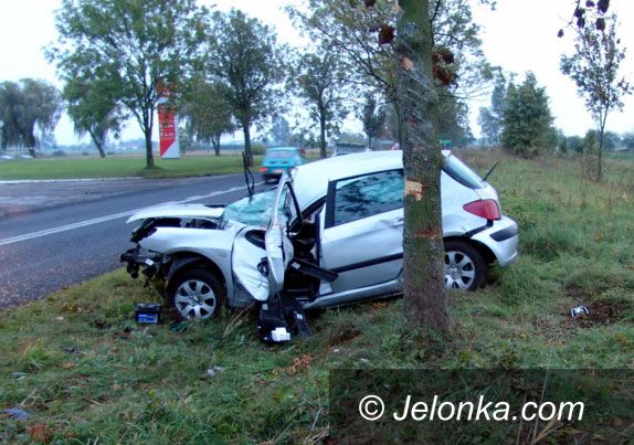 Dolny Śląsk: Masakra piłą mechaniczną przy drogach