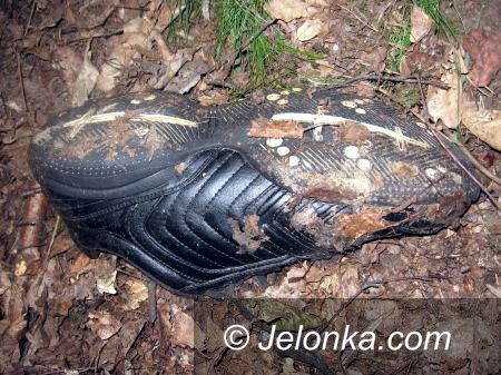 Region Jeleniogórski: Znaleźli szkielet: policjanci proszą o pomoc w identyfikacji