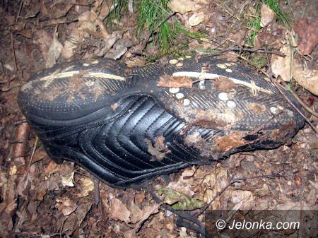 Region Jeleniogórski: Znaleźli szkielet: policjanci proszą o pomoc w identyfikacji