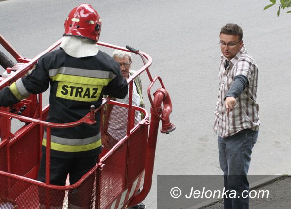 Jelenia Góra: Po akcji mieszkańców i dziennikarzy szpak uratowany