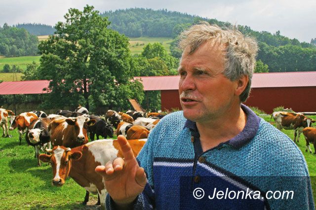Region Jeleniogórski: Droga do śmierci dla krów