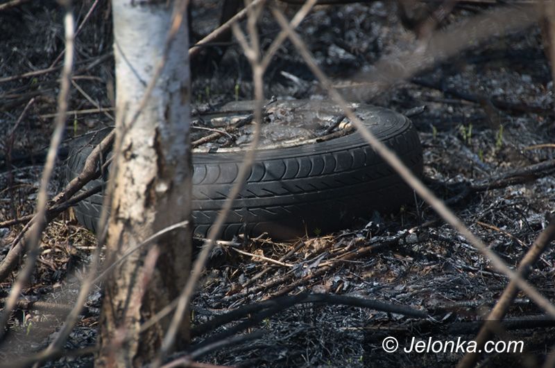 REGION: Spłonęło około 15 hektarów nieużytków