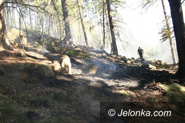 REGION: Płonął las w Karpnikach