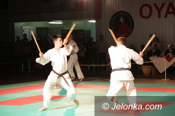 Jelenia Góra: Siedem medali jeleniogórskich karateków