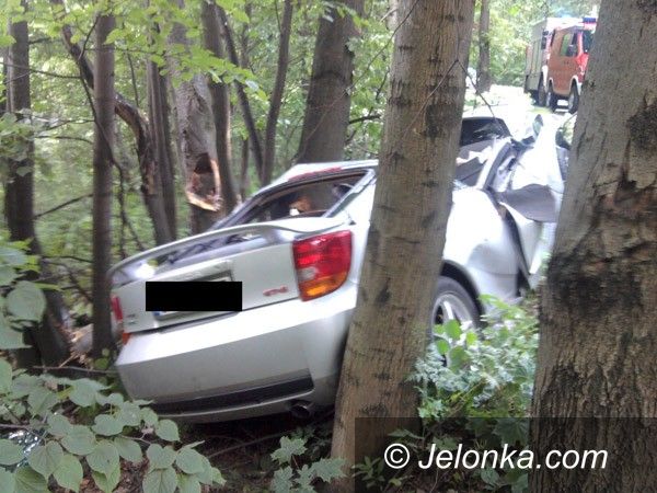 KOWARY: Po pijanemu uderzył autem w drzewo