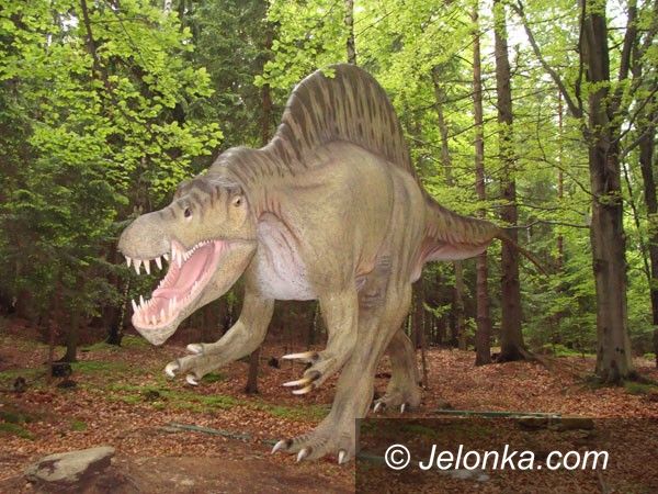 SZKLARSKA PORĘBA: Dinozaury atrakcją pod Szrenicą