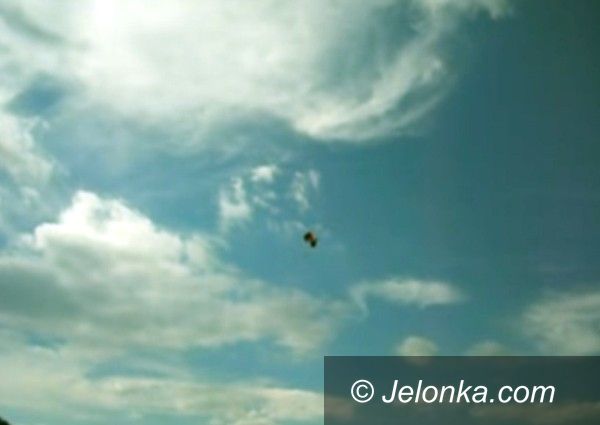 JELENIA GÓRA: Groza podczas skoku na spadochronie – VIDEO