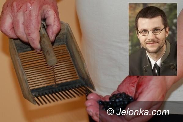REPUBLIKA CZESKA KARKONOSZE: Polscy zbieracze jagód niszczą przyrodę w Karkonoszach