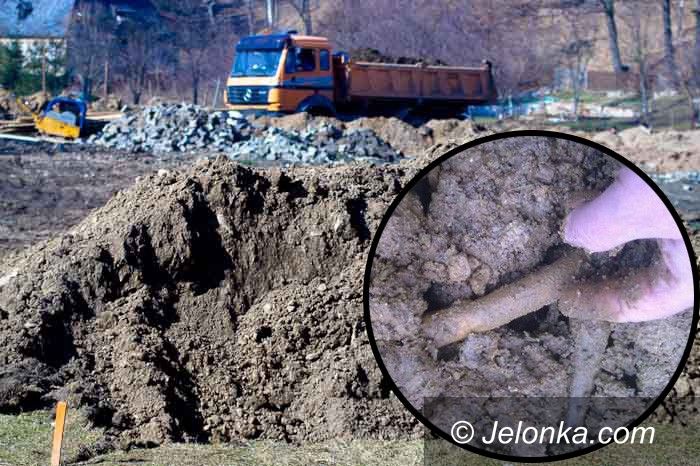 JELENIA GÓRA: W Maciejowej wybudują Biedronkę na terenie byłego cmentarza? Pod nadzorem archeologa