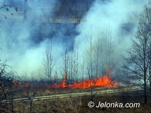 REGION JELENIOGÓRSKI: O krok od pożaru lasu na Wzgórzu Krzywoustego
