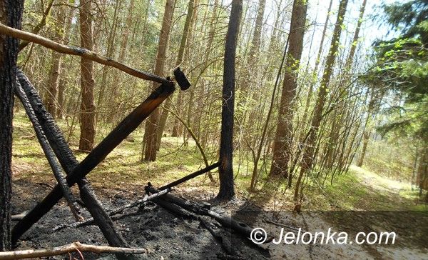 Region: Wandale niszczą i palą paśniki – będzie monitoring w lesie