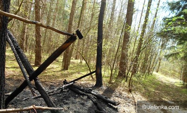 Region: Wandale niszczą i palą paśniki – będzie monitoring w lesie