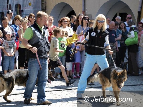 Jelenia Góra/region: Tłumy na "Majówce ze zwierzakami"