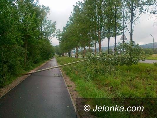 Jelenia Góra/region: Drogi rowerowe do przeglądu