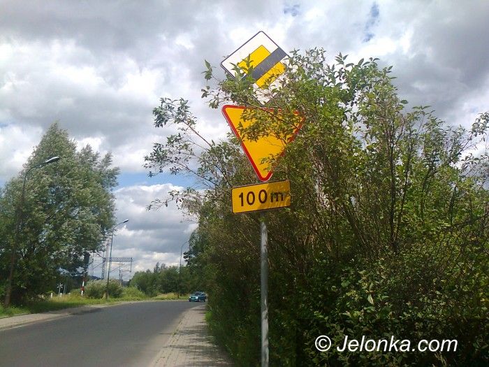 Jelenia Góra: Czytelnicy: W mieście zarastają znaki drogowe!