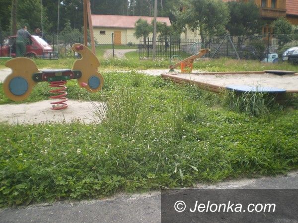 Region: Na placu zabaw w Michałowicach królują… chaszcze