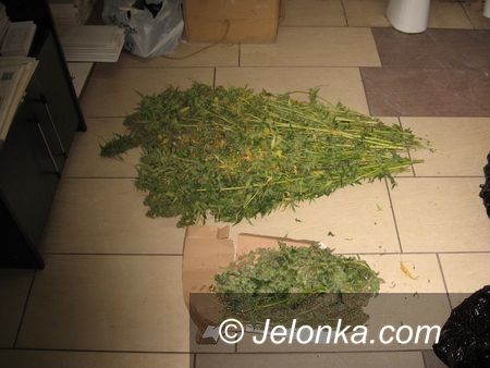 Jelenia Góra/region: Zatrzymany z narkotykami po policyjnym pościgu