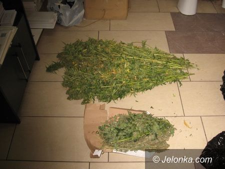 Jelenia Góra/region: Zatrzymany z narkotykami po policyjnym pościgu