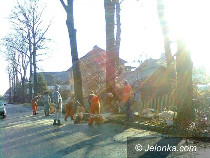 Jelenia Góra/Sobieszów: Awantura przy wycince chorych drzew przy ul. Łazienkowskiej