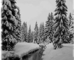 Region: W Szklarskiej Porębie pogoda dla narciarzy