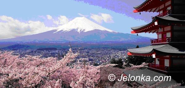 Jelenia Góra/Tokio: Rafał Majda leci do Japonii na Światowy Turniej Karate