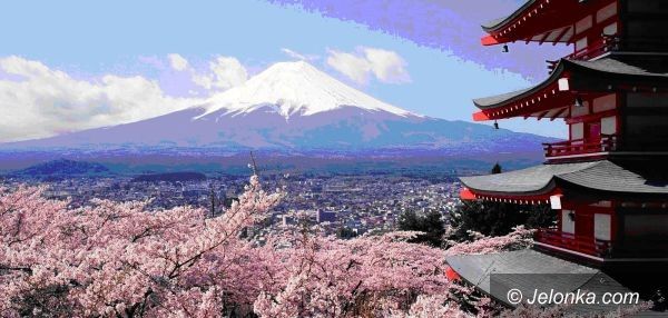 Jelenia Góra/Tokio: Rafał Majda leci do Japonii na Światowy Turniej Karate