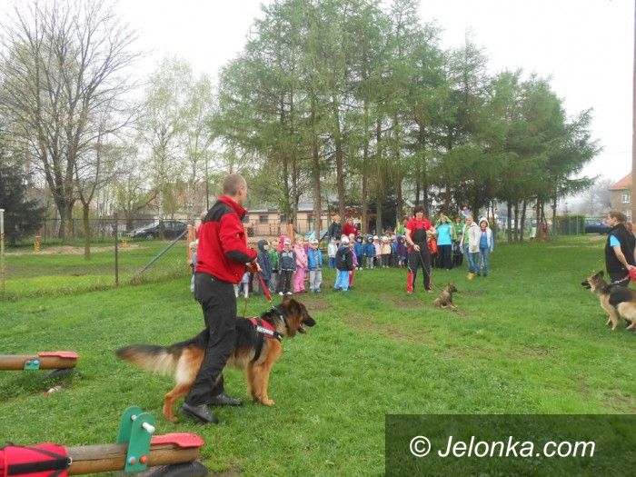 Jelenia Góra: Przewodnicy i ratownicy górscy z psami na zajęciach w przedszkolu
