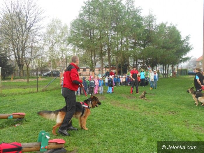Jelenia Góra: Przewodnicy i ratownicy górscy z psami na zajęciach w przedszkolu