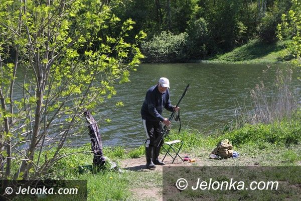 Jelenia Góra: Śnięte i chore ryby w tzw. Balatonie w Staniszowie