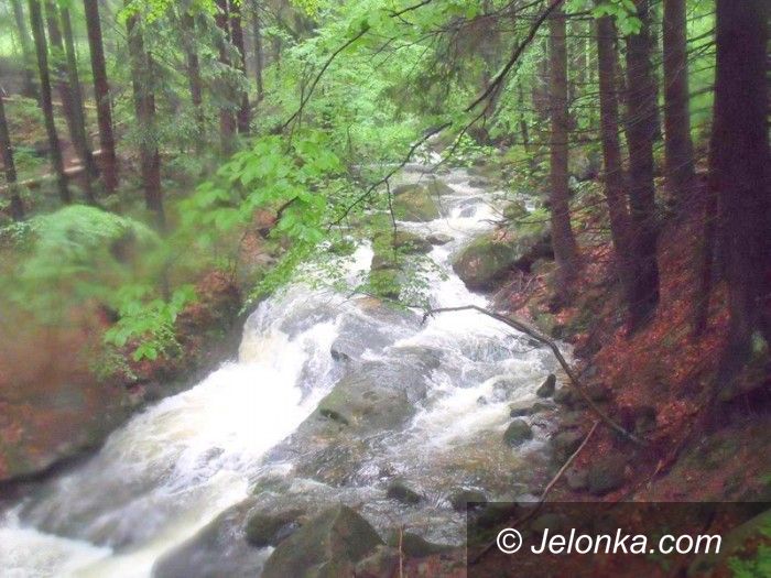 Jelenia Góra: Wodospad Wrzosówki – deszczowa atrakcja Jeleniej Góry