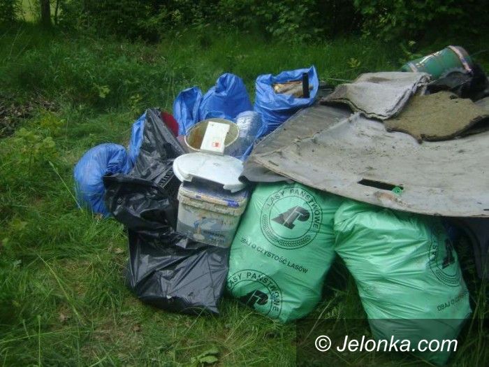 Jelenia Góra: Czytelniczka: Tak dbamy o lasy!