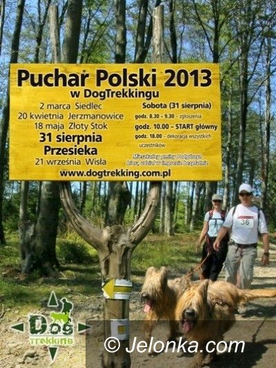 Region: Puchar Polski w Dogtrekkingu w Przesiece