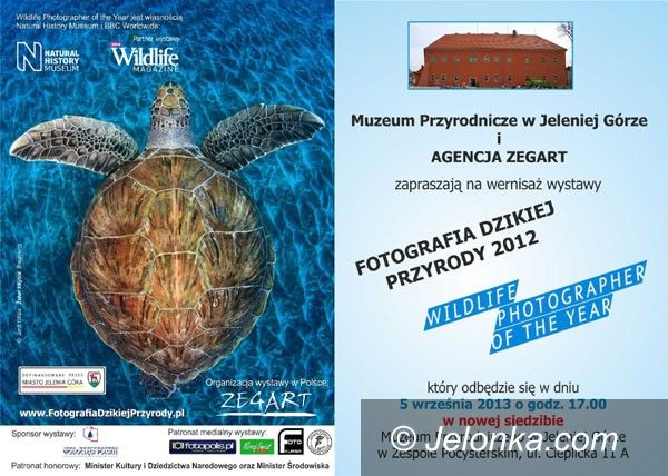 Jelenia Góra: Unikalne zdjęcia natury w Muzeum Przyrodniczym