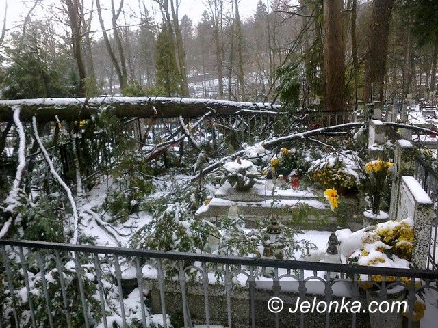 Jelenia Góra: Wichura dokonała zniszczeń także na starym cmentarzu