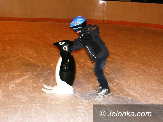 Jelenia Góra: Mieszkańcy chcą… pingwinów do nauki jazdy na łyżwach