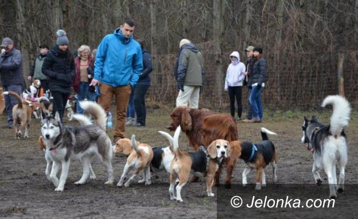 Jelenia Góra: Kiedy wybieg dla psów w Jeleniej Górze?