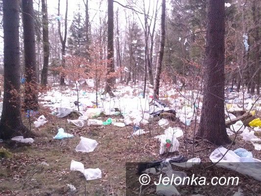 Region: Te śmieci „przyfrunęły” do lasu z Kostrzycy!