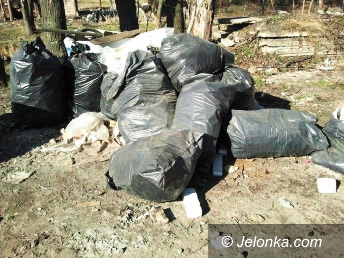 Jelenia Góra: Jeleniogórzanin wyrzucił worki z odpadami do rzeki