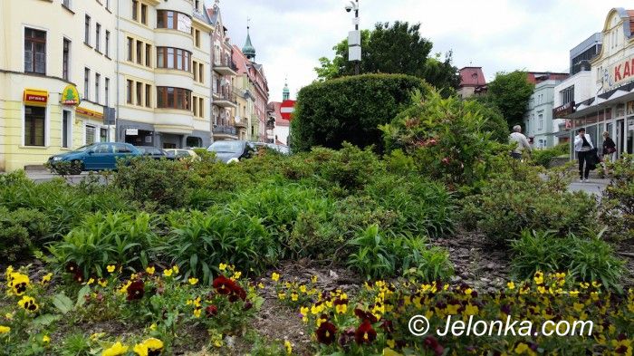 Jelenia Góra: Jelenia Góra miastem 15 tysięcy kwiatów