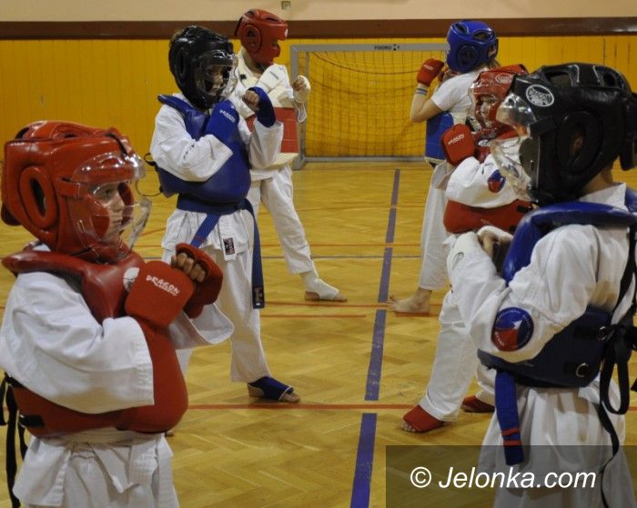 Jelenia Góra: Klubowe zawody Oyama Karate dla dzieci