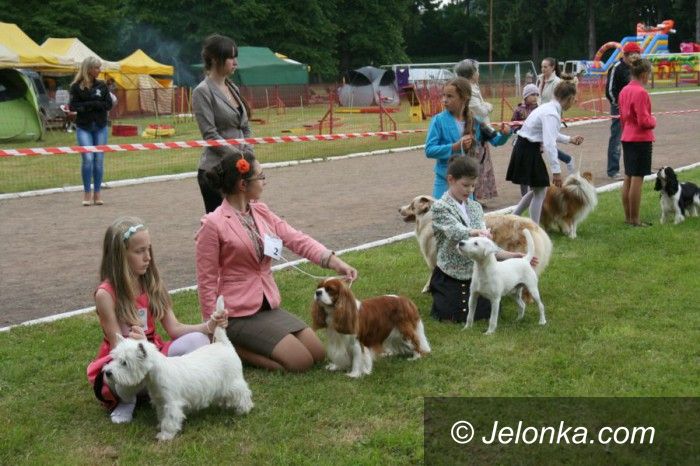 Jelenia Góra: Rasowe psy zaprezentowały się w Cieplicach