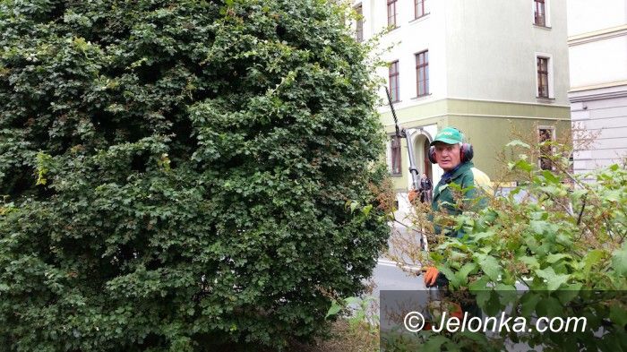Jelenia Góra: Tworzy od lat w naszym mieście zielone rzeźby