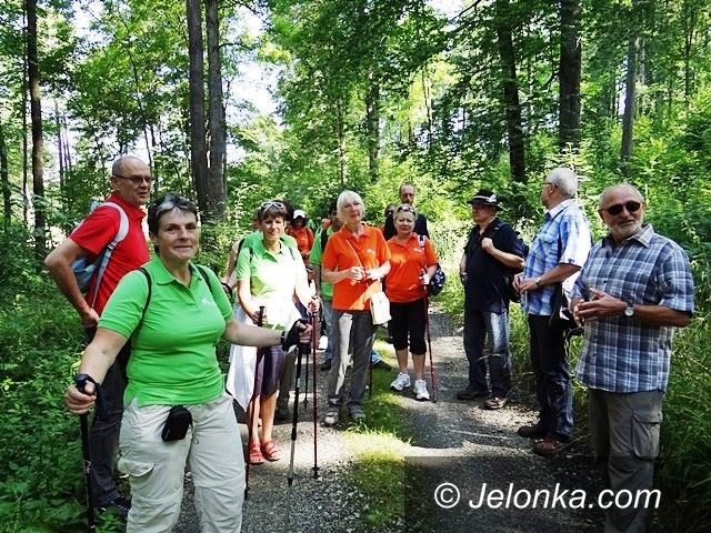 Region: Park w Bukowcu zdobyty podczas spaceru z kijkami