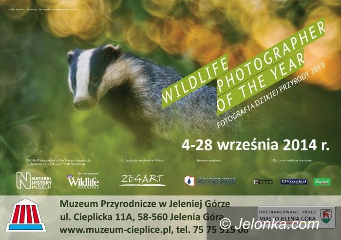Jelenia Góra: “Fotografia dzikiej przyrody 2013” w Muzeum Przyrodniczym