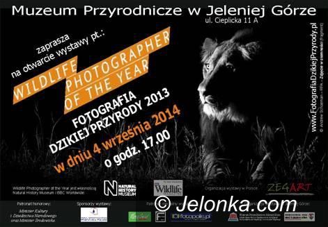 Jelenia Góra: Wernisaż wystawy “Fotografia dzikiej przyrody 2013”