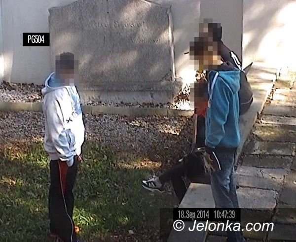 Jelenia Góra: Palili marihuanę w parku – dostrzegła ich kamera